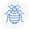 Bed Bug Extermination In Raynes Park