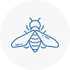 Bee Nest Removal Raynes Park