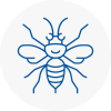 Raynes Park Hornet Nest Removals