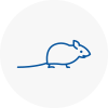 Mice Exterminators In Raynes Park