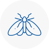 Moth Control Specialists In Raynes Park