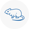 Rat Control Raynes Park