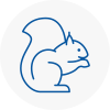 Raynes Park Rodent Removals