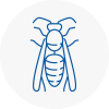 Raynes Park Wasp Nest Removal
